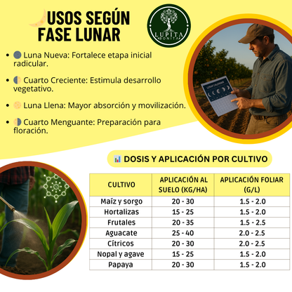 Azufre Ultrasoluble Concentrado – Corrector de suelos y bioestimulante preventivo contra hongos