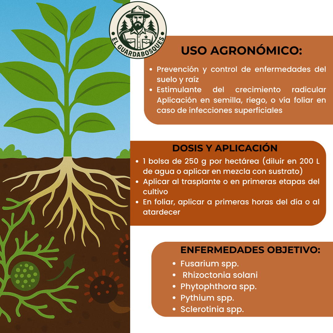 Trichoderma Harzianum – Fungicida biológico para control de patógenos del suelo y estimulación radicular