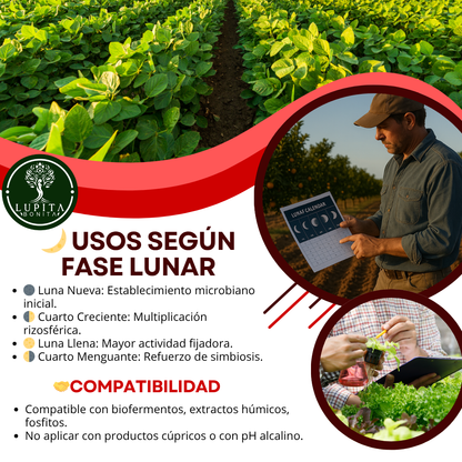 Cloruro de Cobalto Ultrasoluble Concentrado – Microelemento para fijación biológica de nitrógeno y salud microbiana