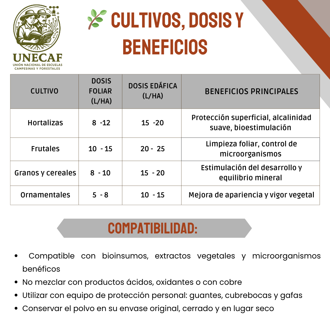 Caldo Ceniza Polvo Concentrado – Kit para preparar bioinsumo alcalino nutritivo y protector de cultivos (rinde 100 L)