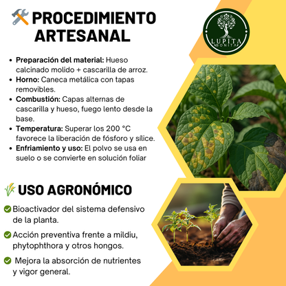 Fosfitos Orgánicos – Bioactivador vegetal con acción fungistática preventiva