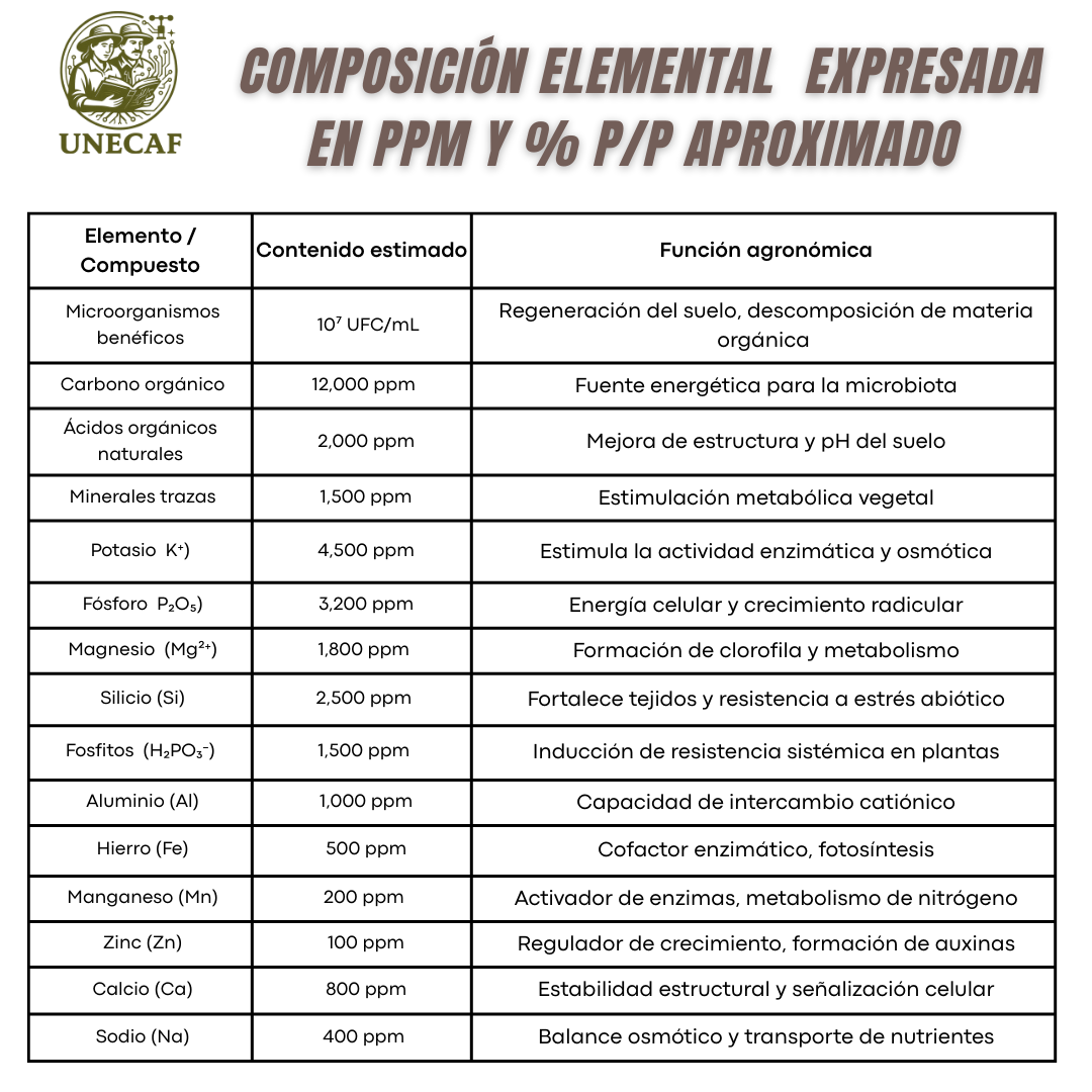 Microorganismos de Montaña Activados – Biofermento líquido para regeneración de suelos, activación microbiana y estimulación vegetal