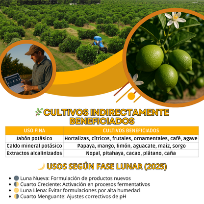Hidróxido de Potasio – Insumo técnico para jabones potásicos y formulaciones minerales