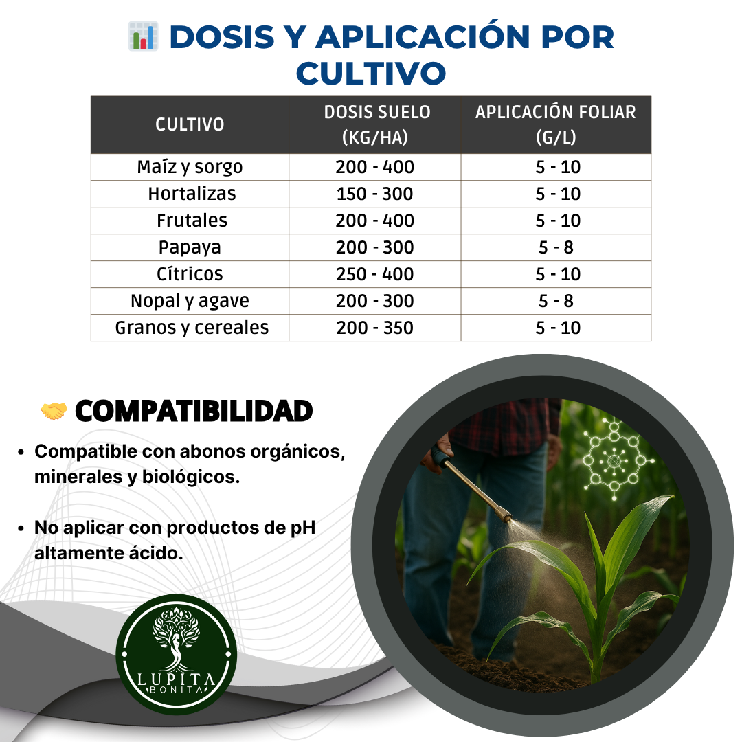 Harina de Roca Ponche de Minerales – Remineralizador de suelos con aporte multielemental natural
