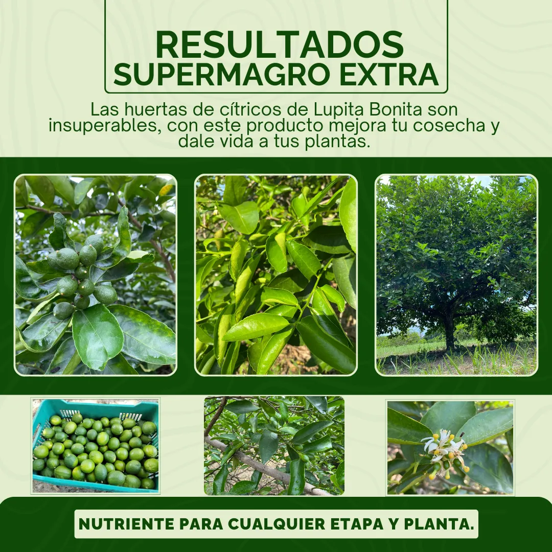 Supermagro Extra Forte – Biofermentado orgánico-mineral regenerativo con efecto multinutricional