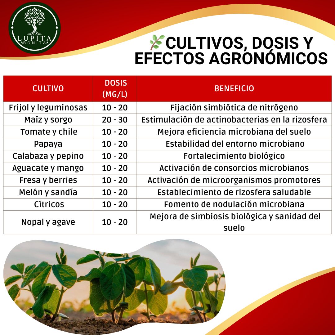 Cloruro de Cobalto Ultrasoluble Concentrado – Microelemento para fijación biológica de nitrógeno y salud microbiana