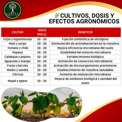 Cloruro de Cobalto Ultrasoluble Concentrado – Microelemento para fijación biológica de nitrógeno y salud microbiana