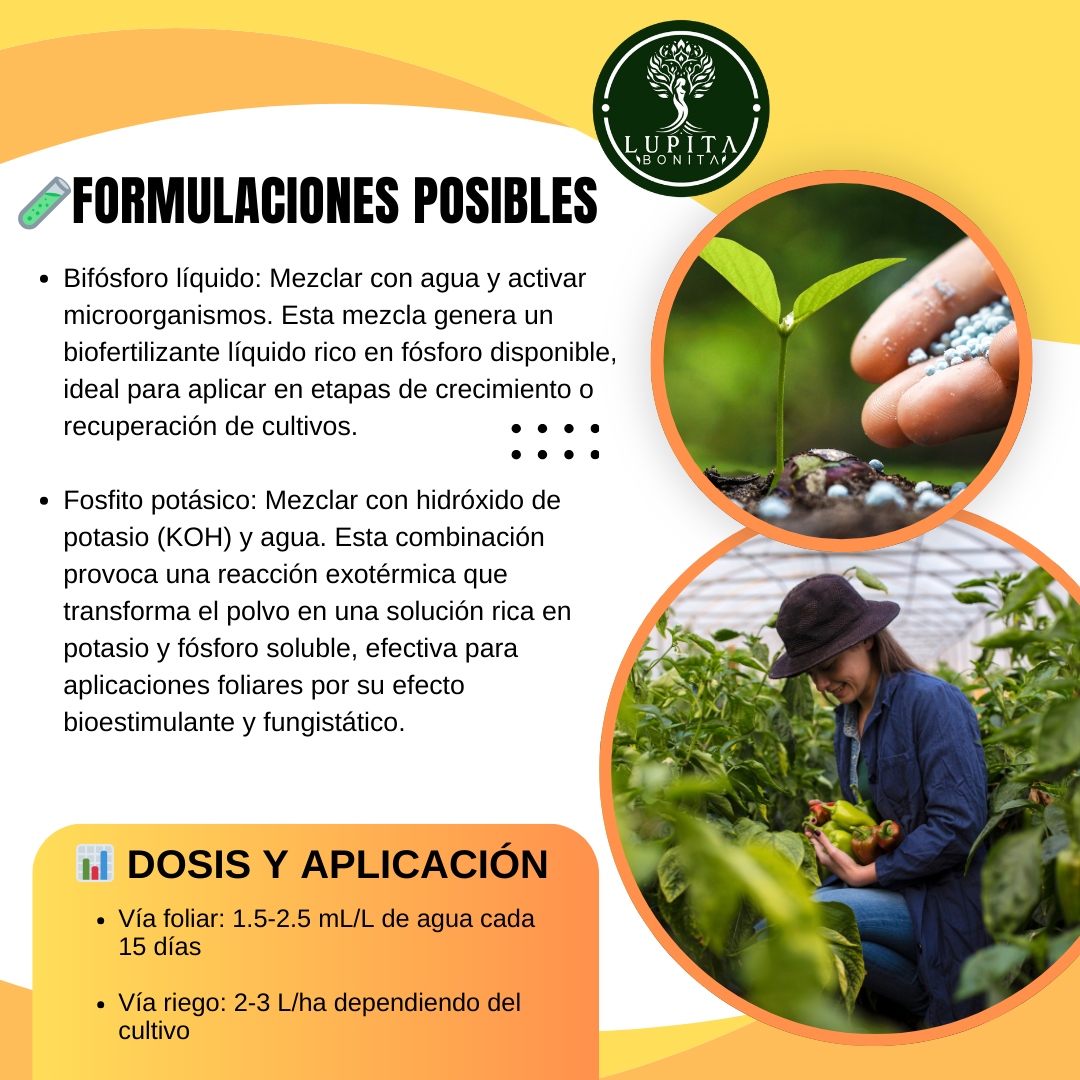 Fosfitos Orgánicos – Bioactivador vegetal con acción fungistática preventiva