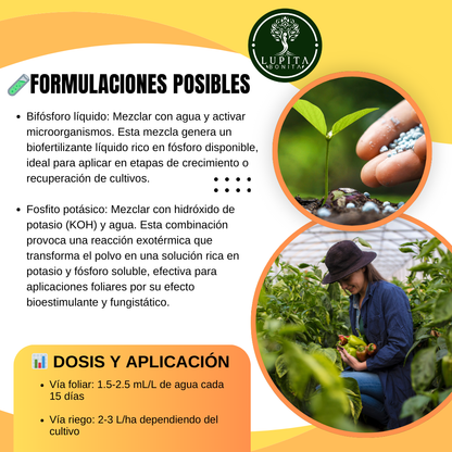 Fosfitos Orgánicos – Bioactivador vegetal con acción fungistática preventiva