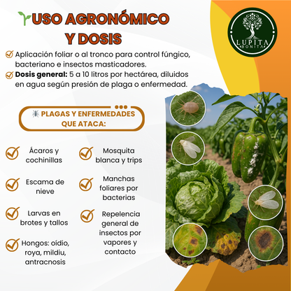 Eco NESIE – Caldo rojo agroecológico de amplio espectro para control de plagas y enfermedades