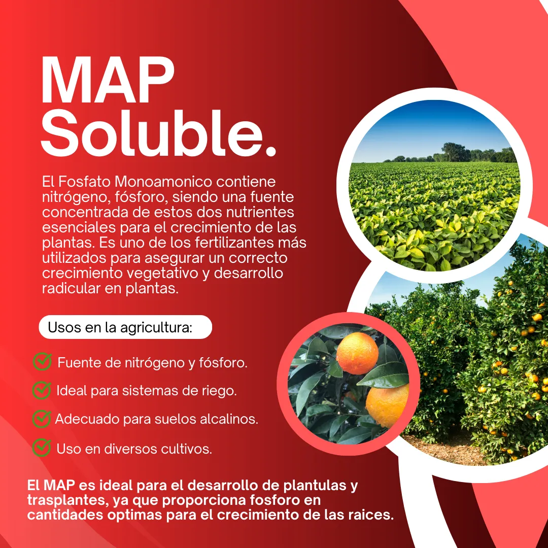 Fósforo Soluble MAP Ultrasoluble Concentrado – Fertilizante fosfatado para raíces fuertes y floración equilibrada
