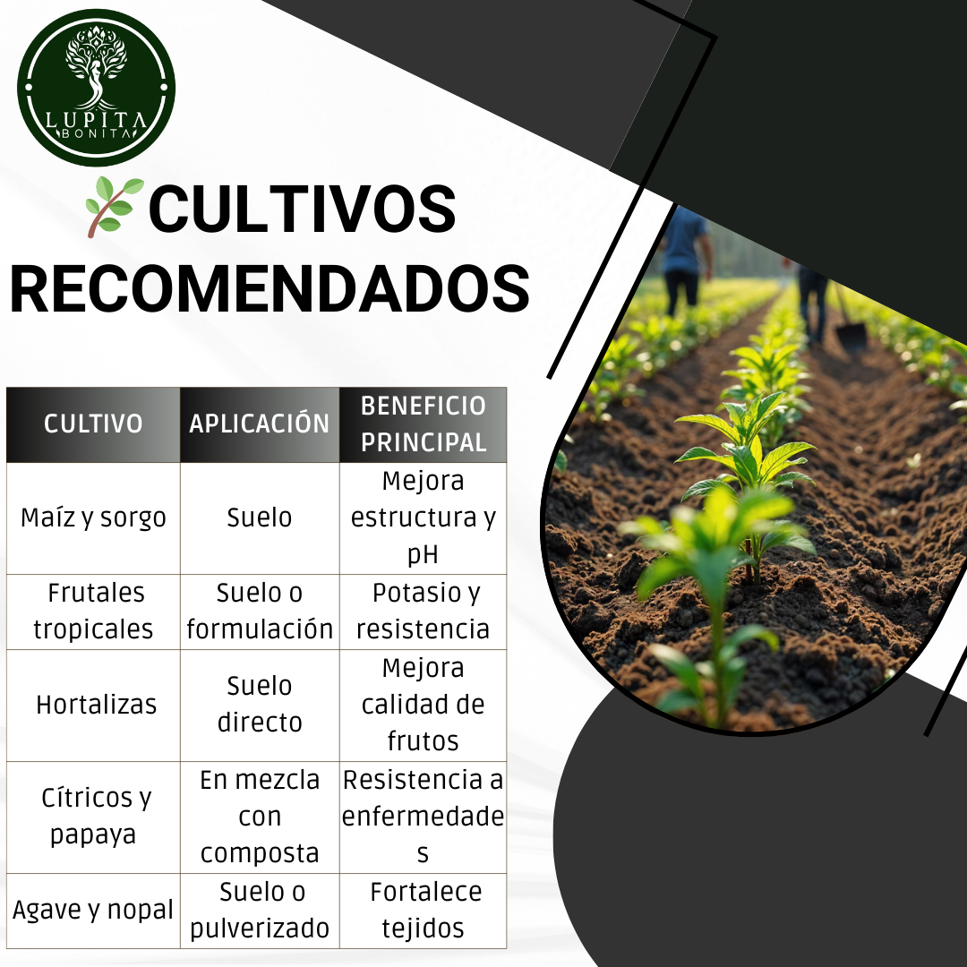 Ceniza Vegetal Sustentable – Enmienda mineral alcalina rica en potasio y micronutrientes