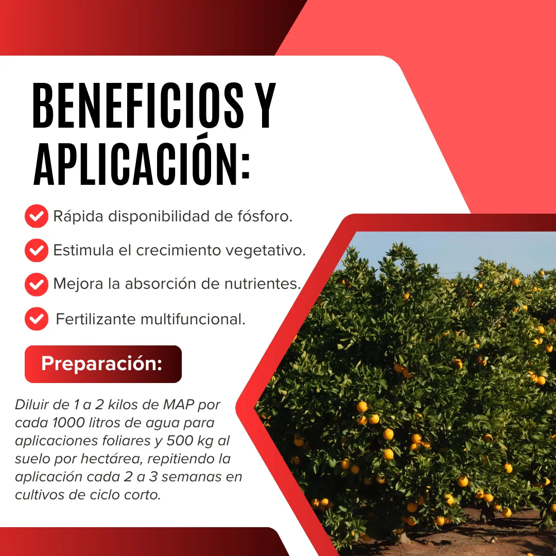 Fósforo Soluble MAP Ultrasoluble Concentrado – Fertilizante fosfatado para raíces fuertes y floración equilibrada